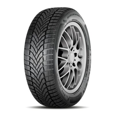 Pneumatico Invernale Falken EUROWINTER HS02 - 2